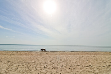 Sea, sand and summer day background. Summer time wallpaper