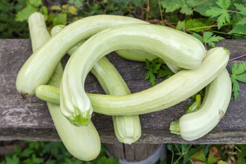 Freshly harvested long vegetable marrows on the old wooden surface