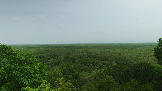4K Cinematic landscape nature footage of the Mayan ruins of Ek Balam in the middle of the jungle of Yucatan, Mexico on a sunny day.