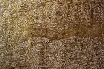 Plywood background and texture