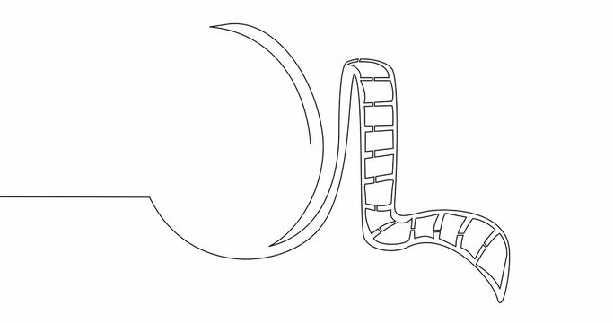 Self drawing line animation film tape continuous line drawn concept video
