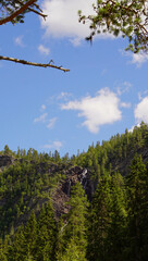 Landscape of nature forrest with blue clouds in the sky  