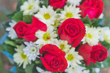 close up of red roses on a bouquet