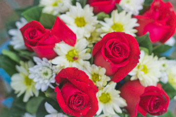 close up of red roses on a bouquet