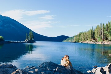 Lac des Rocheuses, Canada