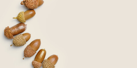 Acorns row from painted golden color on beige background. Autumn time minimal banner. Fall harvest...