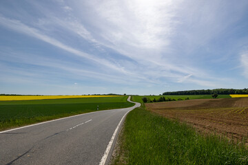 Fototapeta premium Summer landscape with fields and meadows