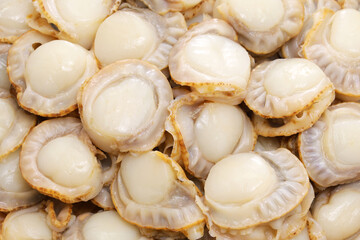 steamed baby bay scallops, Japanese food