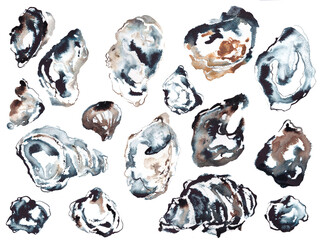 Oyster shells loosley painted with watercolors, abstract on white background
