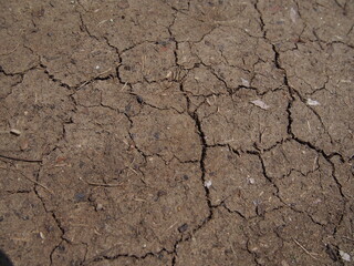 乾燥してひび割れた土の地面のテクスチャー