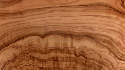 texture of wood olive background
