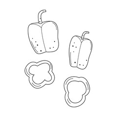 Flat vector linear illustration of sweet pepper in doodle style on a white background.