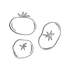 Flat vector linear illustration of a doodle-style tomato on a white background.