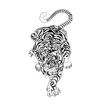 tiger