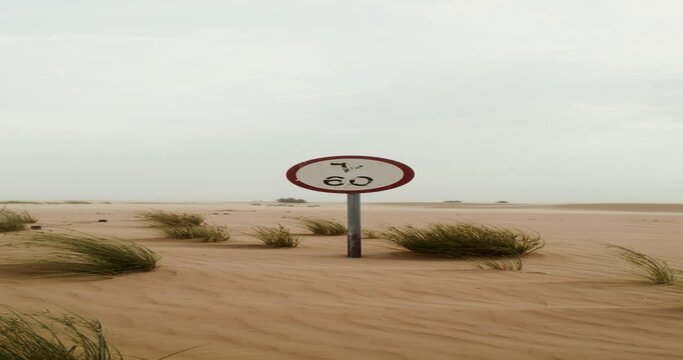Road signs and sparse vegetation peek through the desert sand