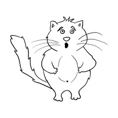 Cat. Funny fat doodle cat. Clipart. shocked cat Vector illustration of a cat.