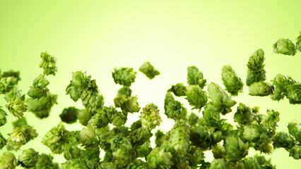 Freeze motion of flying hops cones on green background.