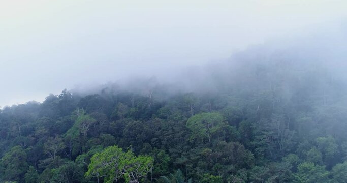 Aerial shot of the forest in the Preah Monivong Bokor National Park