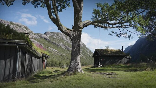 A swing on the old tall tree. A traditional sod-roof house is to the left. Slow-motion, pan forward.
