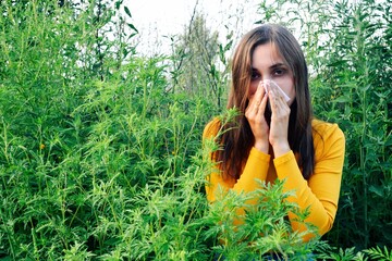 The girl sneezes against the background of ragweed. Ambrosia pollen allergy concept.