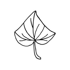 cucumber plant in doodle style