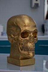 Golden skull with a bracket system
