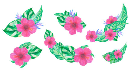 Set of Hibiscus flowers designs, tropical leaves and flowers decoration © Liia Lonn