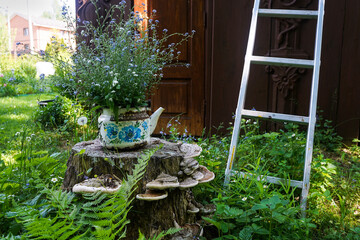 Vintage teapot with forget-me-nots flowers on the stumb with polypores in the green plants background