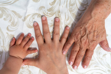 Fototapeta Conjunto de manos de tres generaciones, madre, abuela e hija obraz