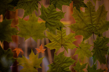 Decorative composition of maple leaves