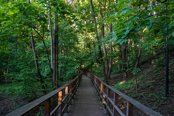 Eco trail wooden walkway among trees in a forest in summer sunny day