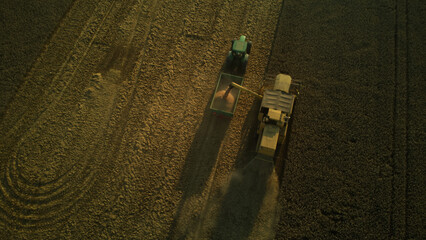 Combine harvester collecting wheat on a field. Aerial view from drone -sunset. 