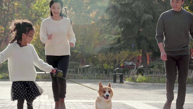 Happy young family and pet dog in park,4K