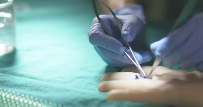 4K Real Time - Practice of a surgery using the laparoscopy technique - details of needles, gloves, microscope...