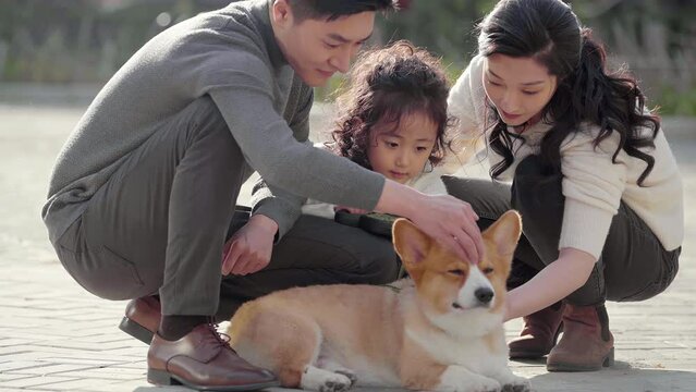 Happy young family and pet dog in park,4K