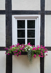 Fototapeta na wymiar flowerpot on wall of old timber framing house
