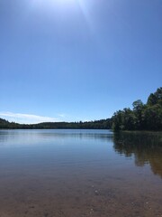 lake in the forest