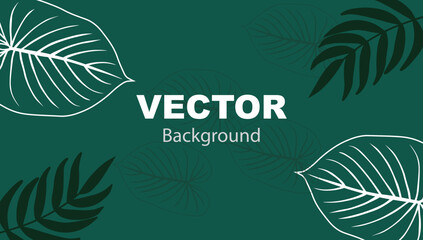 Vector vintage background with green monstera leaves isolated on white background. Luxury wallpaper with green