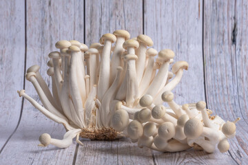 Bunches of delicate white shimeji mushrooms on light background.
