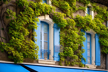 Facade of an old house in Goudargues Cèze valley in Provence overgrown with bright green wine tendrils. Typical architecture of southern France on a sunny summer evening. Windows with blue shutters.