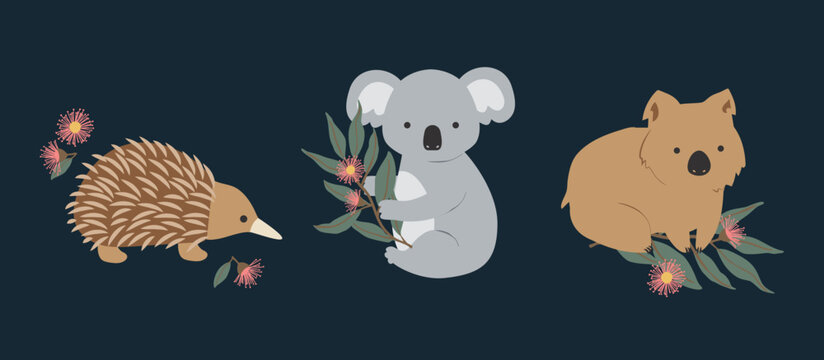 Set of Three Australian Native Exotic Animals Isolated Koala Echidna Wombat Eucalyptus Leaves Gum Blossoms