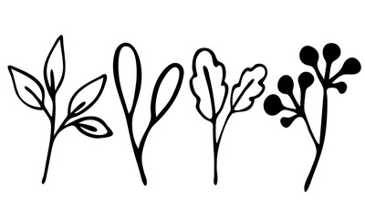 set of vector branches, herbs in Doodle style.hand-drawn illustration for packaging design