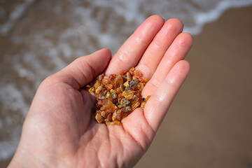 pieces of amber in hand above the sea waves
