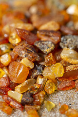 pieces of amber (Lithuanian gold) lying on beach