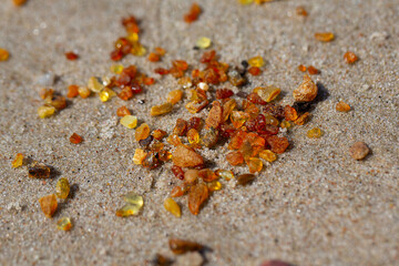 pieces of amber (Lithuanian gold) lying on beach