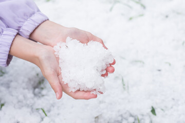 Fototapeta premium Large summer cold ice hail in children's hands. Selective focus
