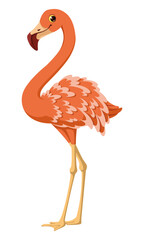 Tropical bird pink flamingo vector cartoon illustration