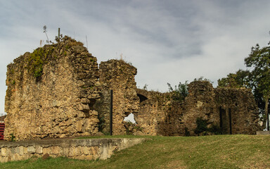 ruins of the castle