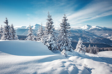 Wonderful Winter Landscape. Awesome Alpine Highlands in Sunny Day. Christmas holyday concept. Winter mountain forest. Snowy mountains and perfect blue sky. Amazing Nature background. postcard