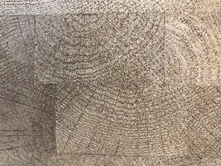 Fototapeta premium texture of a tree